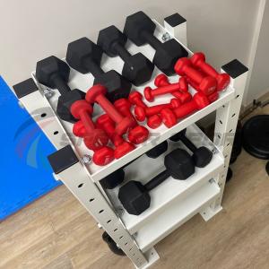 Купить Модульный стеллаж для гантелей, гирь  600х470х1160 в Советске 