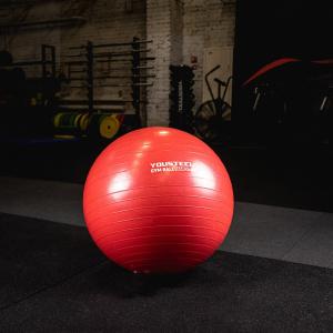 Купить Гимнастический мяч Yousteel Hard 55см в Советске 
